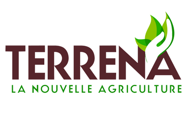 TERRENA